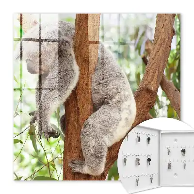 Koala se relaxează în natură