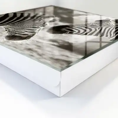 Zebre împreună în armonie alb-negru
