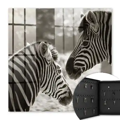 Zebre împreună în armonie alb-negru
