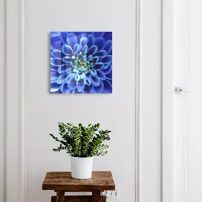O floare albastră se spiralează
