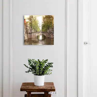 Canalul orașului este verde, plin de copaci