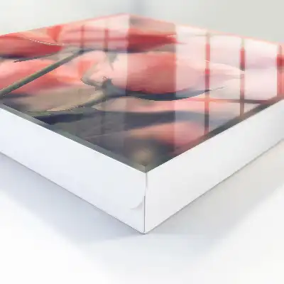 Flori delicate în nuanțe pastelate