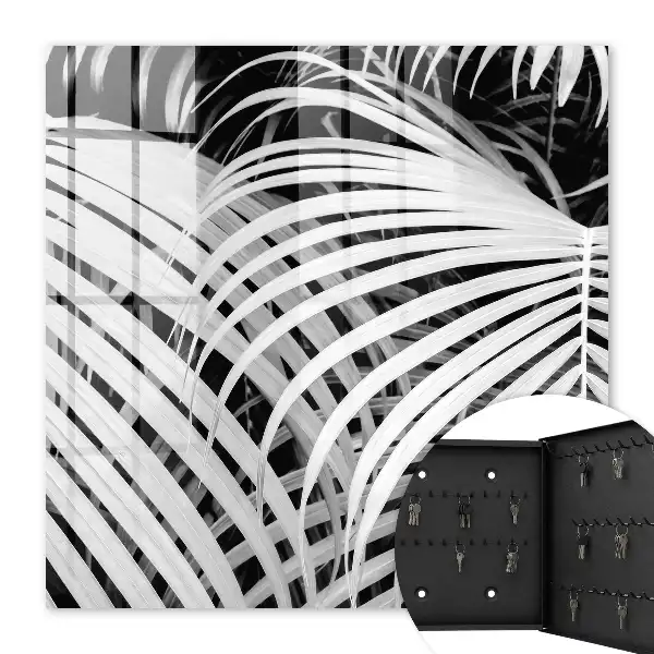 Frunze de palmier alb-negru