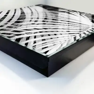 Frunze de palmier alb-negru