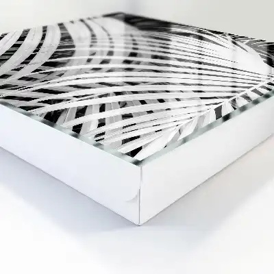 Frunze de palmier alb-negru