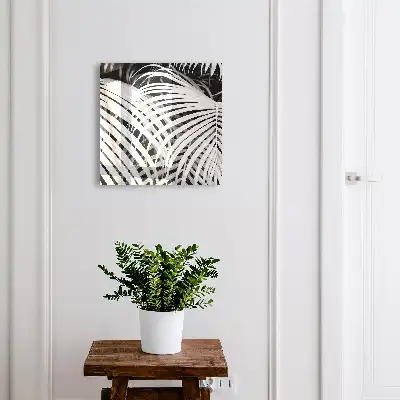 Frunze de palmier alb-negru