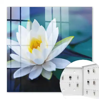 Meditație cu nuferi în natură