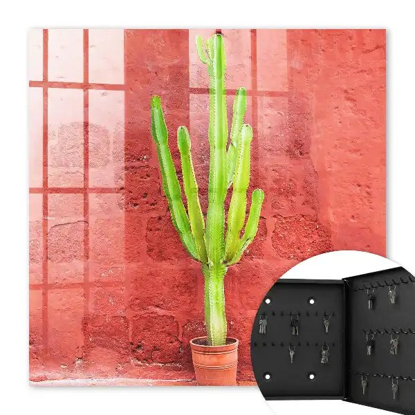 Cactus verde pe un perete roșu