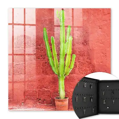 Cactus verde pe un perete roșu