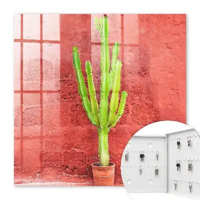 Cactus verde pe un perete roșu