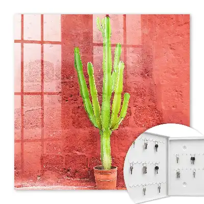 Cactus verde pe un perete roșu