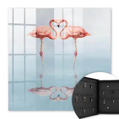 Flamingii iubesc apa