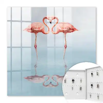 Flamingii iubesc apa