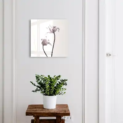 Flori minimaliste pe un fundal deschis