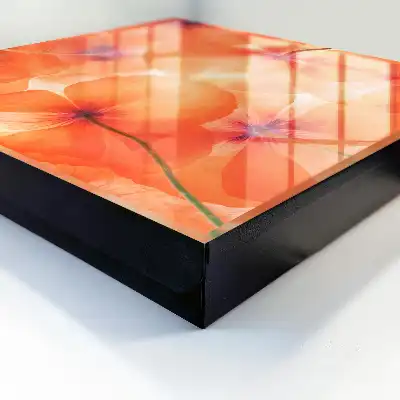 Extaz floral plin de energie