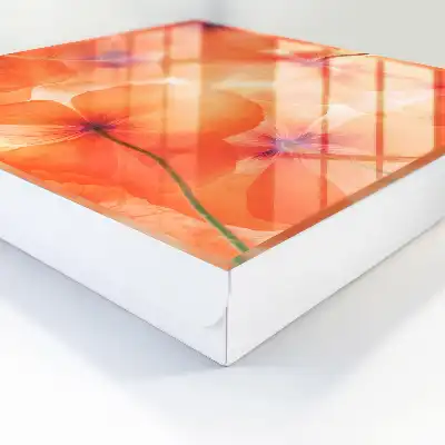 Extaz floral plin de energie