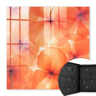 Extaz floral plin de energie
