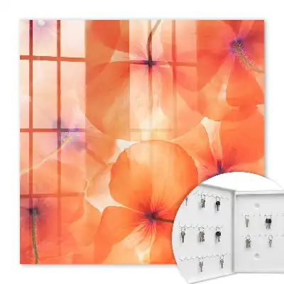 Extaz floral plin de energie