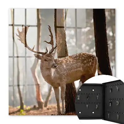 Cerbi în pădure la apus