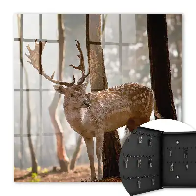 Cerbi în pădure la apus