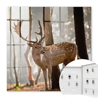 Cerbi în pădure la apus