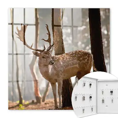 Cerbi în pădure la apus