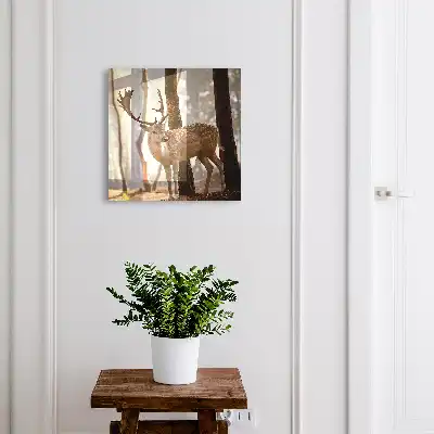 Cerbi în pădure la apus