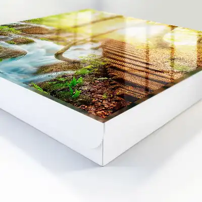Un colț de pădure în pădurea verde