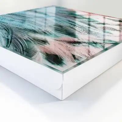 Pene roz-albastru pastelate
