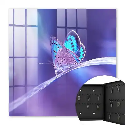 Fluture colorat pe fundal violet