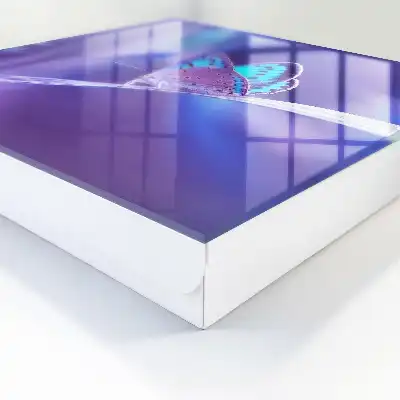 Fluture colorat pe fundal violet