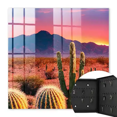 Deșertul de Vest cu cactuși