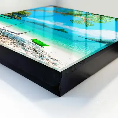 Paradis tropical verde marin