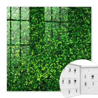 O grădină verde oferă liniște