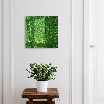 O grădină verde oferă liniște