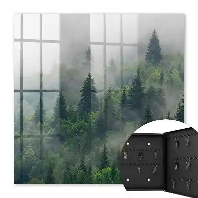 Pădure încețoșată, atmosferă misterioasă