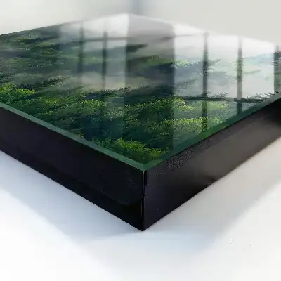 Pădure încețoșată, atmosferă misterioasă