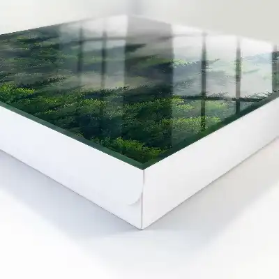 Pădure încețoșată, atmosferă misterioasă