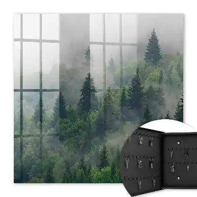 Pădure încețoșată, atmosferă misterioasă