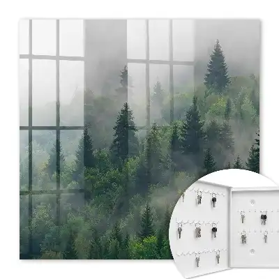 Pădure încețoșată, atmosferă misterioasă