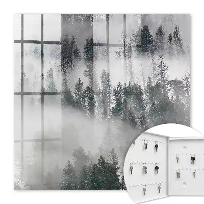 Verdeața cețoasă creează o atmosferă liniștită
