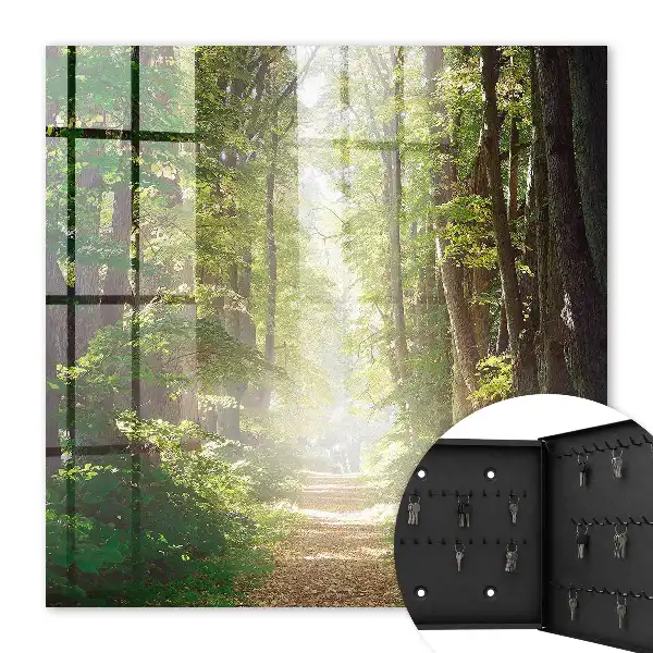 Peisaj forestier cu copaci verzi