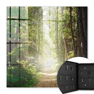 Peisaj forestier cu copaci verzi
