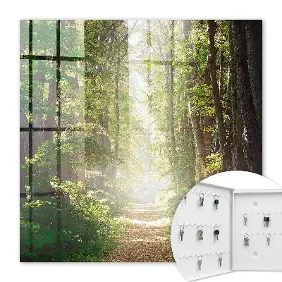 Peisaj forestier cu copaci verzi