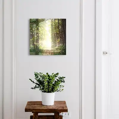 Peisaj forestier cu copaci verzi
