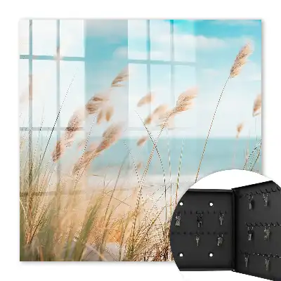 Plajă de vară cu iarbă de mare