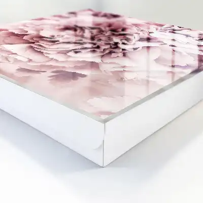 O floare roz plină de delicatețe