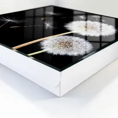 Păpădii delicate fără punct
