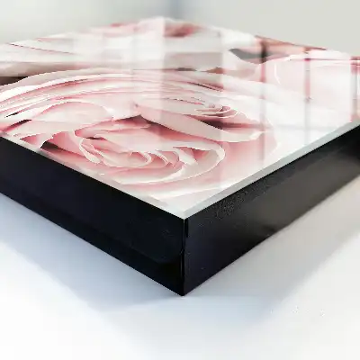 Nuanțe pastelate de roz