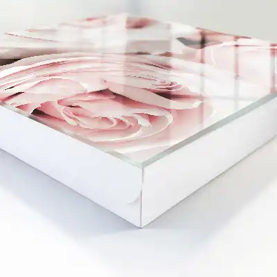 Nuanțe pastelate de roz